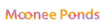 New Google Ads Agency LP 3 moonee ponds